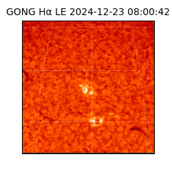 gong - 2024-12-23T08:00:42