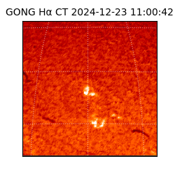 gong - 2024-12-23T11:00:42