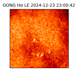 gong - 2024-12-23T23:00:42