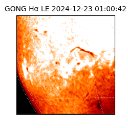gong - 2024-12-23T01:00:42