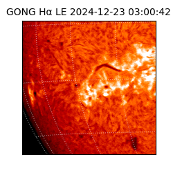 gong - 2024-12-23T03:00:42