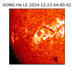 gong - 2024-12-23T04:00:42