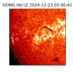 gong - 2024-12-23T05:00:42