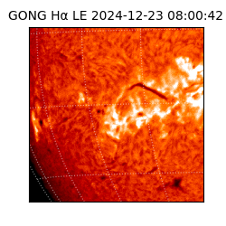 gong - 2024-12-23T08:00:42