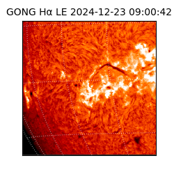 gong - 2024-12-23T09:00:42