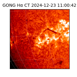gong - 2024-12-23T11:00:42
