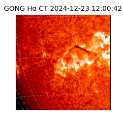 gong - 2024-12-23T12:00:42