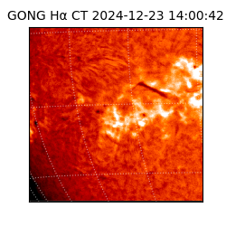 gong - 2024-12-23T14:00:42