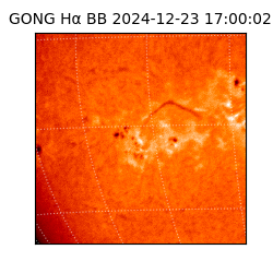 gong - 2024-12-23T17:00:02