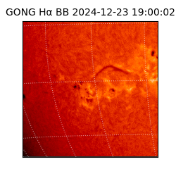 gong - 2024-12-23T19:00:02