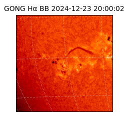 gong - 2024-12-23T20:00:02