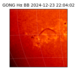 gong - 2024-12-23T22:04:02