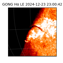gong - 2024-12-23T23:00:42