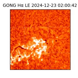 gong - 2024-12-23T02:00:42