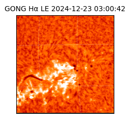 gong - 2024-12-23T03:00:42