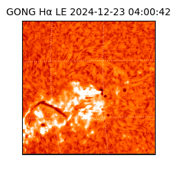 gong - 2024-12-23T04:00:42