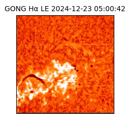 gong - 2024-12-23T05:00:42