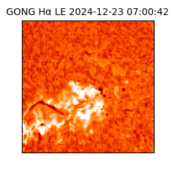 gong - 2024-12-23T07:00:42