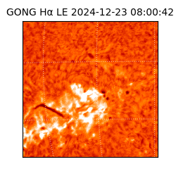 gong - 2024-12-23T08:00:42