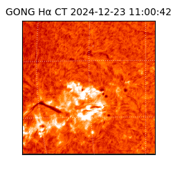 gong - 2024-12-23T11:00:42