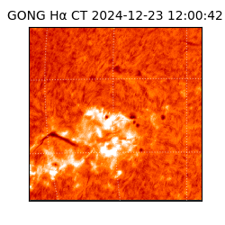 gong - 2024-12-23T12:00:42