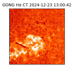 gong - 2024-12-23T13:00:42