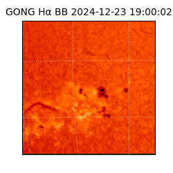 gong - 2024-12-23T19:00:02