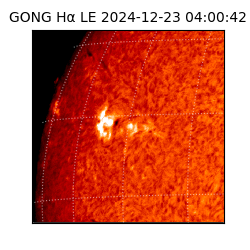gong - 2024-12-23T04:00:42