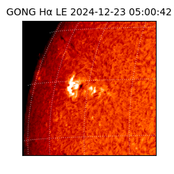 gong - 2024-12-23T05:00:42