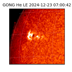 gong - 2024-12-23T07:00:42
