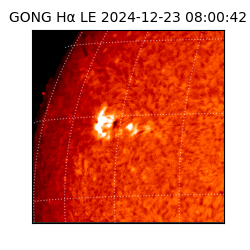 gong - 2024-12-23T08:00:42