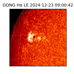 gong - 2024-12-23T09:00:42