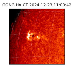 gong - 2024-12-23T11:00:42