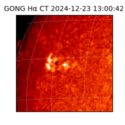 gong - 2024-12-23T13:00:42