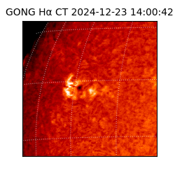 gong - 2024-12-23T14:00:42