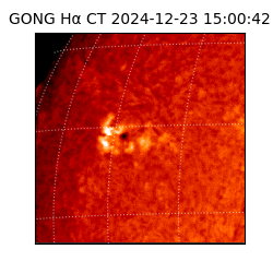 gong - 2024-12-23T15:00:42