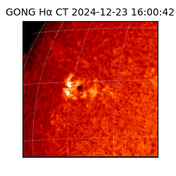 gong - 2024-12-23T16:00:42