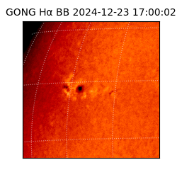 gong - 2024-12-23T17:00:02