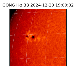 gong - 2024-12-23T19:00:02