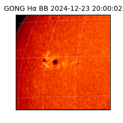 gong - 2024-12-23T20:00:02