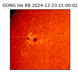 gong - 2024-12-23T21:00:02