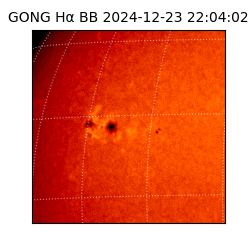 gong - 2024-12-23T22:04:02