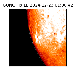 gong - 2024-12-23T01:00:42