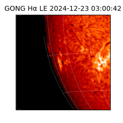 gong - 2024-12-23T03:00:42