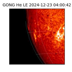 gong - 2024-12-23T04:00:42