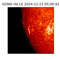 gong - 2024-12-23T05:00:42