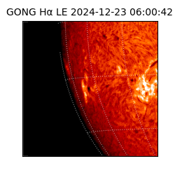 gong - 2024-12-23T06:00:42