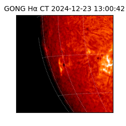 gong - 2024-12-23T13:00:42