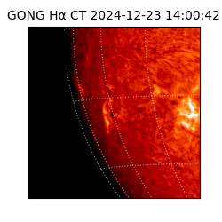 gong - 2024-12-23T14:00:42