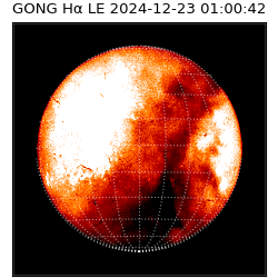 gong - 2024-12-23T01:00:42